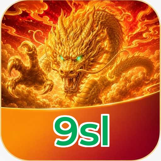 9sl Technical Info