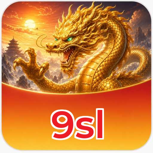 9sl Technical Info