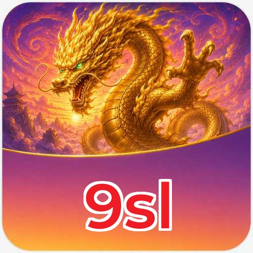 9sl APK Structure